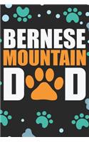 Bernese Mountain Dad