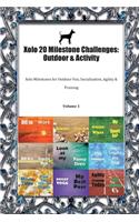 Xolo 20 Milestone Challenges