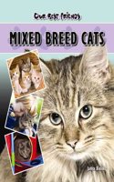 Mixed Breed Cats: (Our Best Friends)