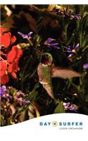 Day Surfer Login Organizer (Hummingbird)