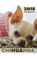 Chihuahua 2018 Calendar (UK Edition)