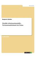 Flexible Arbeitszeitmodelle - Vertrauensarbeitszeit im Fokus