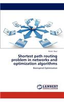 Shortest Path Routing Problem in Networks and Optimization Algorithms