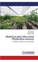 Medicinal plant Bhui Amla (Phylanthus amarus)