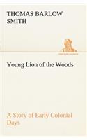 Young Lion of the Woods A Story of Early Colonial Days: (English)