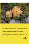 Flora der gefürsteten Grafschaft Tirol des Landes Vorarlberg