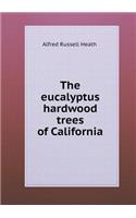 The Eucalyptus Hardwood Trees of California