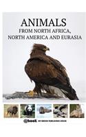 Animals from North Africa, North America and Eurasia