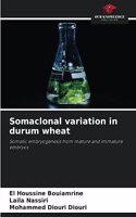Somaclonal variation in durum wheat