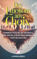 Des Émotions Aux Choix