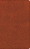 CSB Single-Column Personal Size Reference Bible, Burnt Sienna Leathertouch