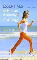 Essentials of Human Anatomy & Physiology & Essentials of Interactive Physiology CD-ROM & Modified Masteringa&p with Pearson Etext -- Valuepack Access Card Package