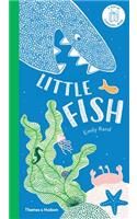 Little Fish