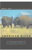 American Bison