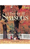 Tree for All Seasons