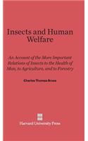 Insects and Human Welfare