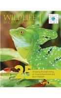 Wildlife In Central America 1