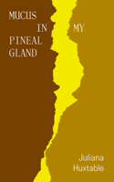 Mucus in My Pineal Gland