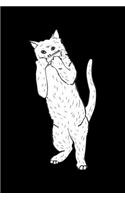 Cat plays harmonica