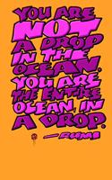 You Are Not a Drop in the Ocean, You Are the Entire Ocean in a Drop