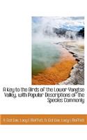 A Key to the Birds of the Lower Yangtse Valley, with Popular Descriptions of the Species Commonly