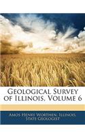 Geological Survey of Illinois, Volume 6