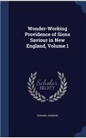 Wonder-Working Providence of Sions Saviour in New England, Volume 1
