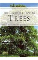A Concise Guide To Trees