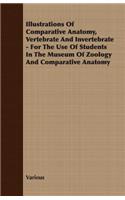 Illustrations of Comparative Anatomy, Vertebrate and Invertebrate - For the Use of Students in the Museum of Zoology and Comparative Anatomy