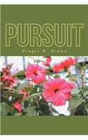 Pursuit
