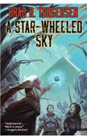 A Star-Wheeled Sky