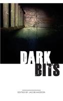 Dark Bits