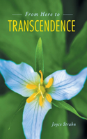 From Here to Transcendence