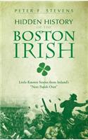Hidden History of the Boston Irish