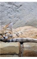 Sand Cat aka Sand Dune Cat (Felis margarita) Animal Journal: 150 Page Lined Notebook/Diary