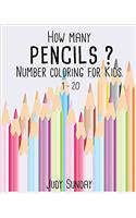 How Many Pencils?: Number Coloring for Kids