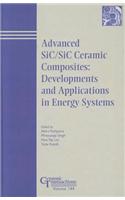 Advances in SiC/SiC Ceramic Composites - Developments and Applications in Energy Systems: Ceramic Transactions V144