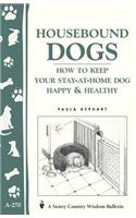 Housebound Dogs: How to Keep Your Stay-at-Home Dog Happy & Healthy