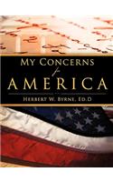 My Concerns For America