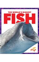 World's Biggest Fish