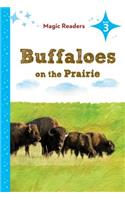 Buffaloes on the Prairie: Level 3