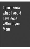I don't know what I would have done without you Mom
