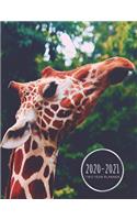 Two Year Planner 2020-2021