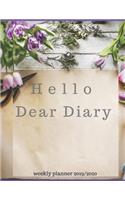 hello dear diary