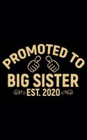 Promoted To Big Sister Est.2020