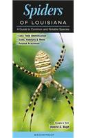 Spiders of Louisiana: A Guide to Common and Notable Species