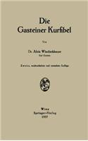 Die Gasteiner Kurfibel