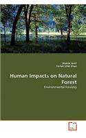 Human Impacts on Natural Forest