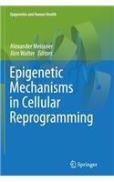 Epigenetic Mechanisms in Cellular Reprogramming