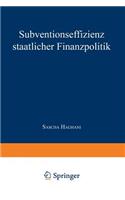 Subventionseffizienz Staatlicher Finanzpolitik